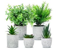 5 PCS Plantes Artificielle, Mini Plantes artificielles avec des Pots,Interieur Serpentine,Agave succulentes,Griffe d'aigle Aloe Vera,pour la décoration de Table, Balcon et Bureau
