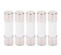 5 Pièces Fusible Tube Céramique, 10x38mm 1000V DC 10A Tube à Fusible à Fusion Lente Module Photovoltaïque Action Rapide Kit de Protection pour Toutes Les Applications Photovoltaïques (10A)