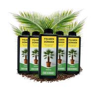 5 x 1 l d'engrais naturel pour palmier de chanvre 5 l d'engrais liquide pour l'intérieur et l'extérieur Engrais organique pour plantes et racines 5000 ml