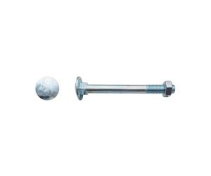 50 Boulons Tête Ronde Collet Carré TRCC 10 x 80 mm - DIN 603 - Zingué blanc - D-Work