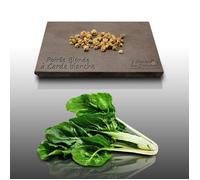 50 graines à semer - Le Grenier d'Abondance - POIREE Blonde - Beta vulgaris