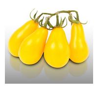 50 Graines À Semer - Le Grenier D'abondance - Tomate Poire Jaune Yellow Pearshaped - Cocktail Apéritif