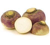 50 Graines de Rutabaga - culture jardin légumes ancien - semences paysannes reproductibles - SemiSauvage
