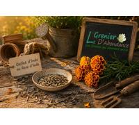 50 Graines Fleurs à semer - Le Grenier d'Abondance - ŒILLET d'Inde ou Rose d'Inde - Tagetes erecta