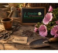 50 graines Fleurs à semer - Le Grenier d'Abondance - LAVATERE - Lavatera trimestris