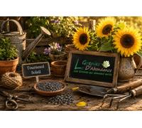 50 graines Fleurs à semer - Le Grenier d'Abondance - TOURNESOL Soleil - haie végétale - Helianthus annuus