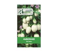 50 graines graines de aubergine oeuf blanc - légume à fruits ovales - variétés ancienne