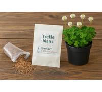 50 grammes à semer - Le Grenier d'Abondance - Tréfle Blanc - Trifolium repens
