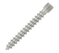 50 pattes à vis bois - sans collerette, zingué blanc - M8 x 50 mm