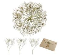 50 Pcs Bouquet Fleurs Séchées Gypsophile, Branches Naturelles pour Art Résine DIY Mariage Décoration Gâteau et Carte