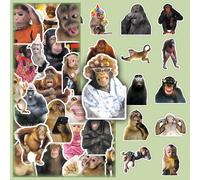 50 pièces Autocollants d'expression de singe amusants, autocollants décoratifs de singe fou de dessin animé pour voiture, audio, boîte de rangement, fournitures scolaires Papetier