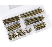 50 Pièces Boulons à Tête Hexagonale, Boulons avec Kit D'assortiment D'écrous Cylindriques