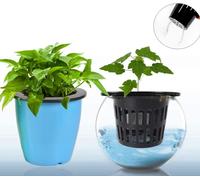 50 pièces grilles à fentes godet en filet 33-42mm rond en plastique pots de culture de plantes seau panier hydroponique aquaponie orchidées blanc 3.4X4.5CM noir