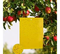 50 pièges à insectes adhésifs double face, papier anti-insectes jaune contre les aleurodes, pour protéger les plantes, fleurs et fruits du jardin, 15 x 10 cm Ces pièges, fabriqués à partir de matériau