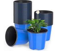 50 pots de fleurs légers bleus de 15 cm pour bulbes et graines, bacs de culture pour bulbes et fleurs (15 x 13 cm)