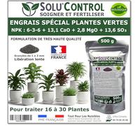 500 g Engrais Spécial Plantes Vertes 6-3-6 - Croissance, Feuillage Dense & Vitalité - Formulation Organo-Minerale - Libération Lente - Convient Plantes Intérieur & Extérieur - Fabriqué en France