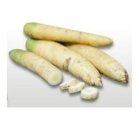500 Graines À Semer - Le Grenier D'abondance - Carotte Blanche À Collet Vert - Daucus Carota