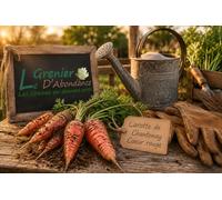 500 graines à semer - Le Grenier d'Abondance - CAROTTE De Chantenay à coeur rouge - Daucus Carota