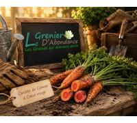 500 graines à semer - Le Grenier d'Abondance - CAROTTE De Colmar à coeur rouge - Daucus Carota