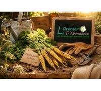500 graines à semer - Le Grenier d'Abondance - CAROTTE Jaune du Doubs - Daucus Carota