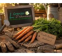 500 graines à semer - Le Grenier d'Abondance - CAROTTE Nantaise Améliorée 3 - Daucus Carota