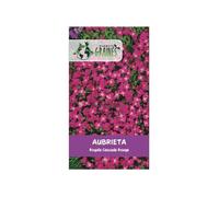 500 graines Aubrieta Rouge - Alternative au Gazon : Remplace la Pelouse - Couvre-sol Vivace de Printemps