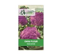 500 graines de chou fleur violet de sicile - RARE - goût sucré et savoureux
