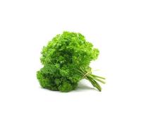 500 Graines De Persil Frisé