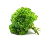 500 Graines de Persil Frisé - plante aromatique - semences paysannes reproductibles - SemiSauvage