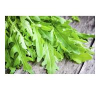 500 Graines De Roquette