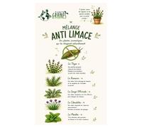 500 Graines Mélange Anti-Limaces et anti escargot Naturel : Thym, Romarin, Ciboulette, Menthe