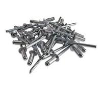 500 rivets alu tete standard de 4.8 x 12 tige acier - Sacto G