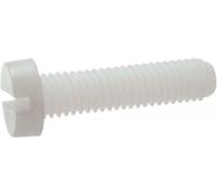 500 Vis Tête Cylindrique Fendue 2.5 x 6 mm - TYPE DIN 84 - ISO 1207 - NFE25-127 - UNI 6107 - Nylon 6.6 - D-Work