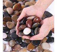 500g/1000g Galets décoratifs colorés de 2-3 cm, convenant pour le jardin et la maison, pierres multicolores (blanc, noir, jaune, multicolore), convenant pour les plantes d'intérieur, les vases, les ja