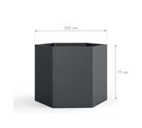 50NRTH GmbH Westmann Metall Bac potager surélevé Varia 77 hexagonal Anthracite 100 x 100 x 77 cm Quantité:1
