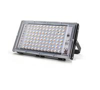 50W 100W éclairage Led extérieur LED à spectre complet lampe de croissance des plantes projecteur lampadaire grandir lumière Garage de jardin(100W With Plug)