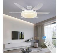 5250-3 blanc éclairage LED avec télécommande couleur/luminosité réglable 6 vitesses, minuterie 2 heures mode été, et hiver