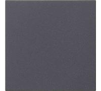 536028 S3000 Bedienaufs.System 55 (536028)