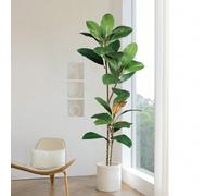 55-110 cm Arbre de magnolia artificiel, branche de ficus tropical en caoutchouc, feuilles en plastique à texture réaliste, convient pour la maison, le jardin, le bureau, le balcon, ne comprend pas 1 c