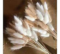 55-60 pièces de tiges d'herbe de queue de lapin artificielles, décoration florale de style bohème & fournitures d'artisanat DIY, décoration de couronne pour la maison, la cuisine et le mariage, cadeau