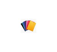 559000E fichier Polypropylène (PP) Multicolore A4
