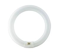 559562 Ampoule G10q Tl-E Circular 32w/33-640 1ct/12 2050lm - Philips