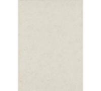 5847 - Vinyle Expansé sur Papier Uni Beige