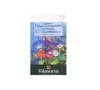 Vilmorin 5860642 Pack de Graines Fleur Grimpante