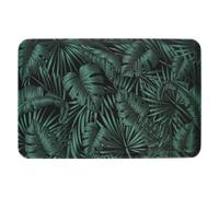 5five - plateau jungle