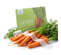 5m Ruban de graines de carottes (Nantaise 2 - Daucus carota) - Carottes juteuses et croquantes idéales pour la culture dans le jardin, la jardinière de balcon et le potager