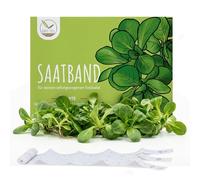 5m Ruban de graines de mâche (Verte à coeur plein 2 - Valerianella locusta) - La salade fraîche et croquante idéale pour la culture dans le jardin, la jardinière et le potager