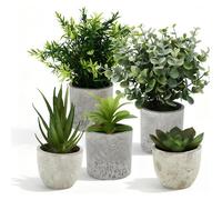 5Pcs Plantes Artificielles Interieur,Bonsai Artificiel,Décoration Bureau