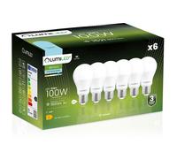 6 ampoules LED E27 A60 13W 100W 1521lm 6500K Blanc froid 260 LUMILED