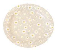 6 assiettes carton marguerite 18cm nature - générique jet115 Gris G